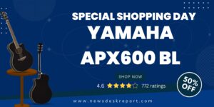 Yamaha Guiter APX600 BL 