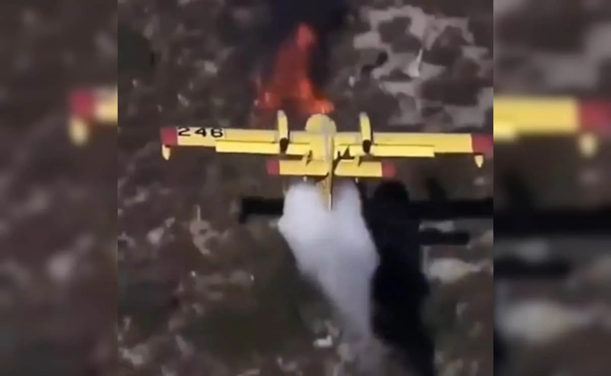 Super Scoopers Plane: What is this American muscle that is spraying millions of liters of water on the burning forest?